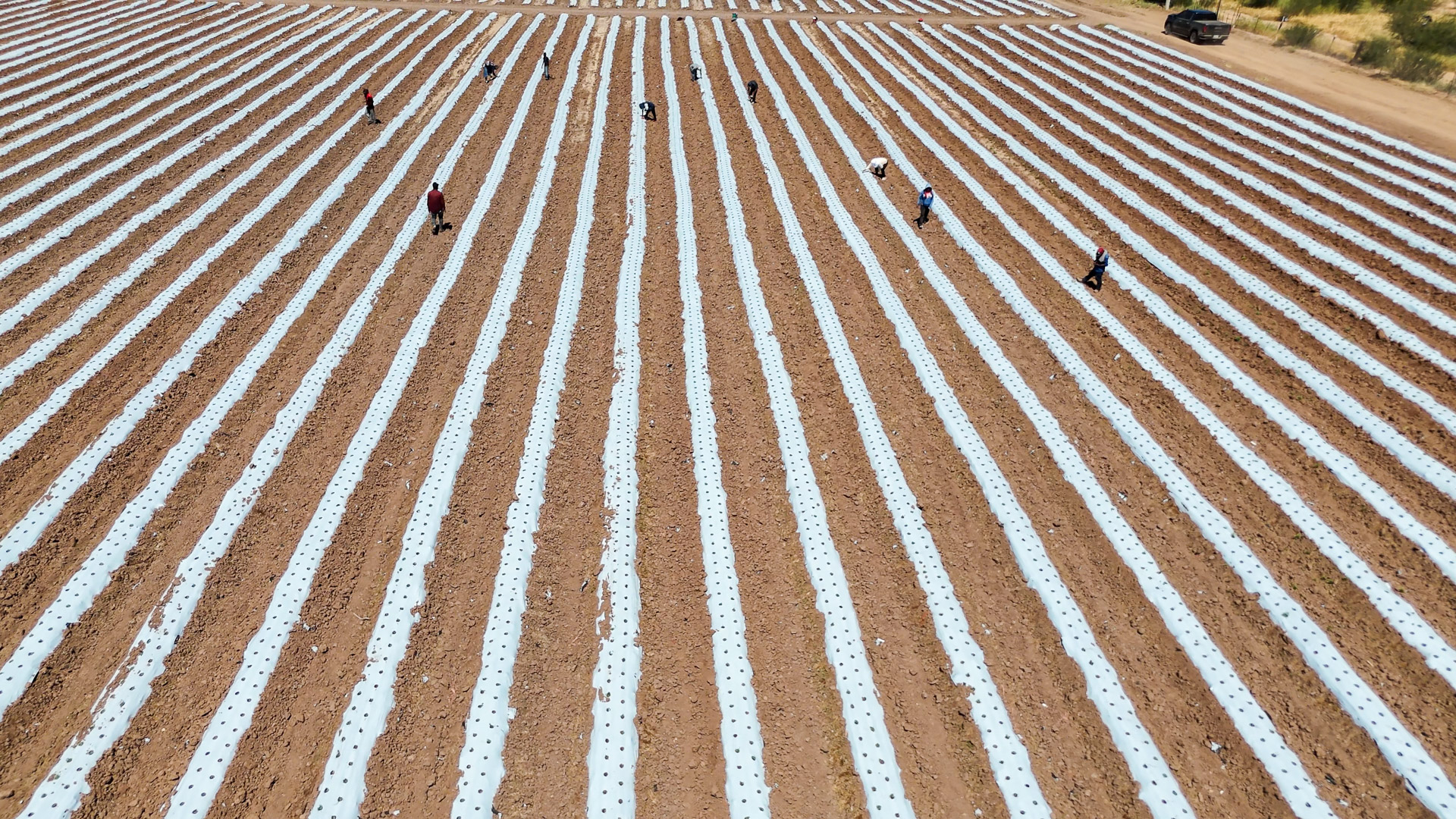 004-20240923140319-MavMiniPro4-Hermisillo Fields (7)-1