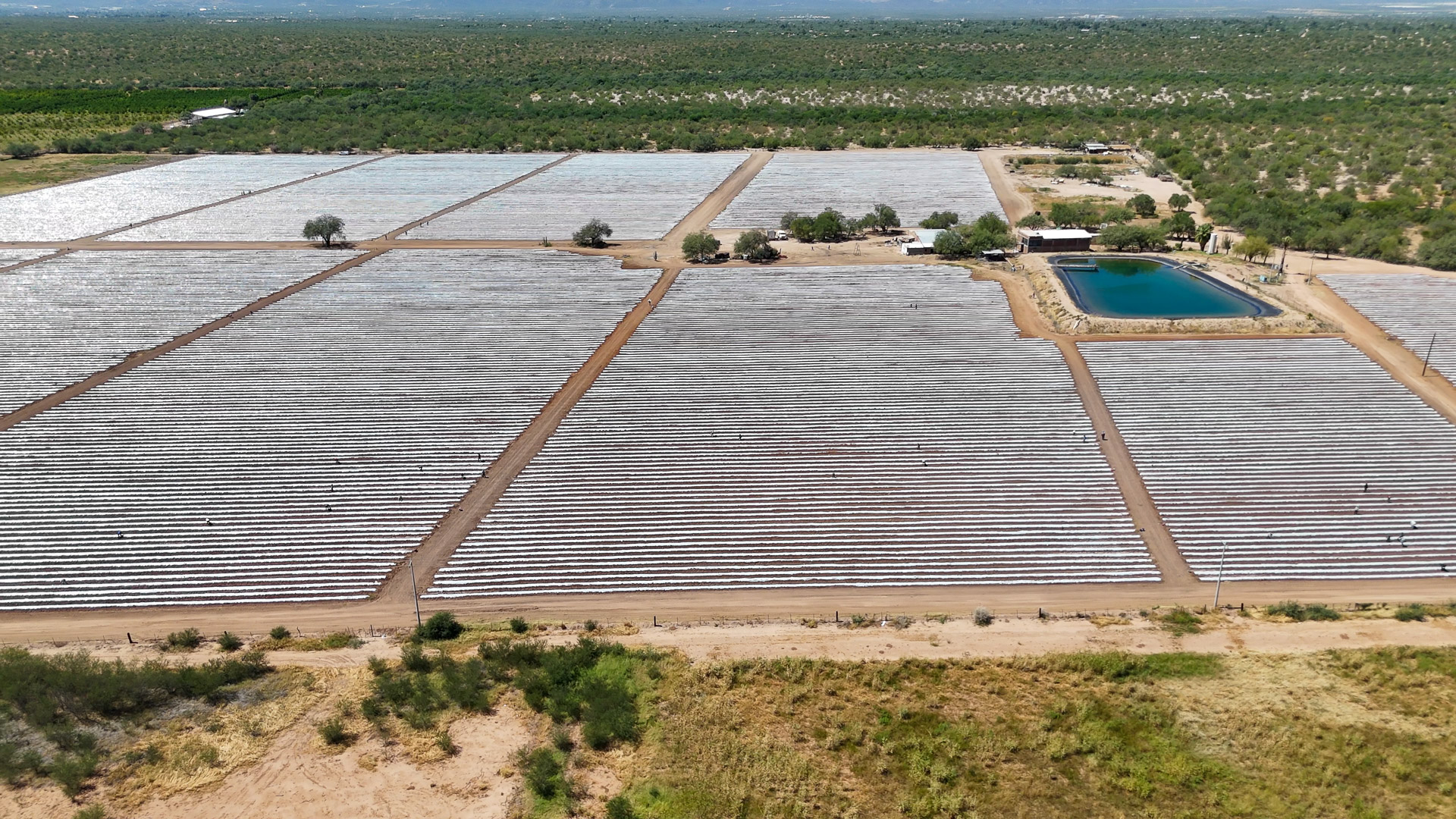 005-20240923135857-MavMiniPro4-Hermisillo Fields (6)-2