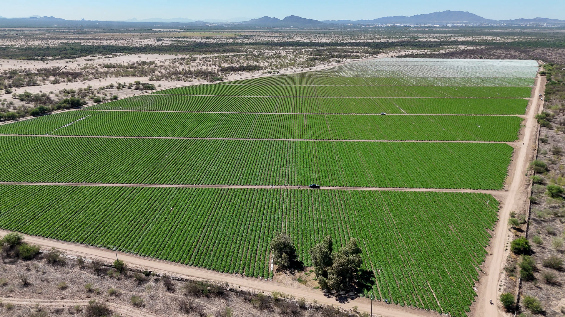 010-20240923124939-MavMiniPro4-Hermisillo Fields (2)-2