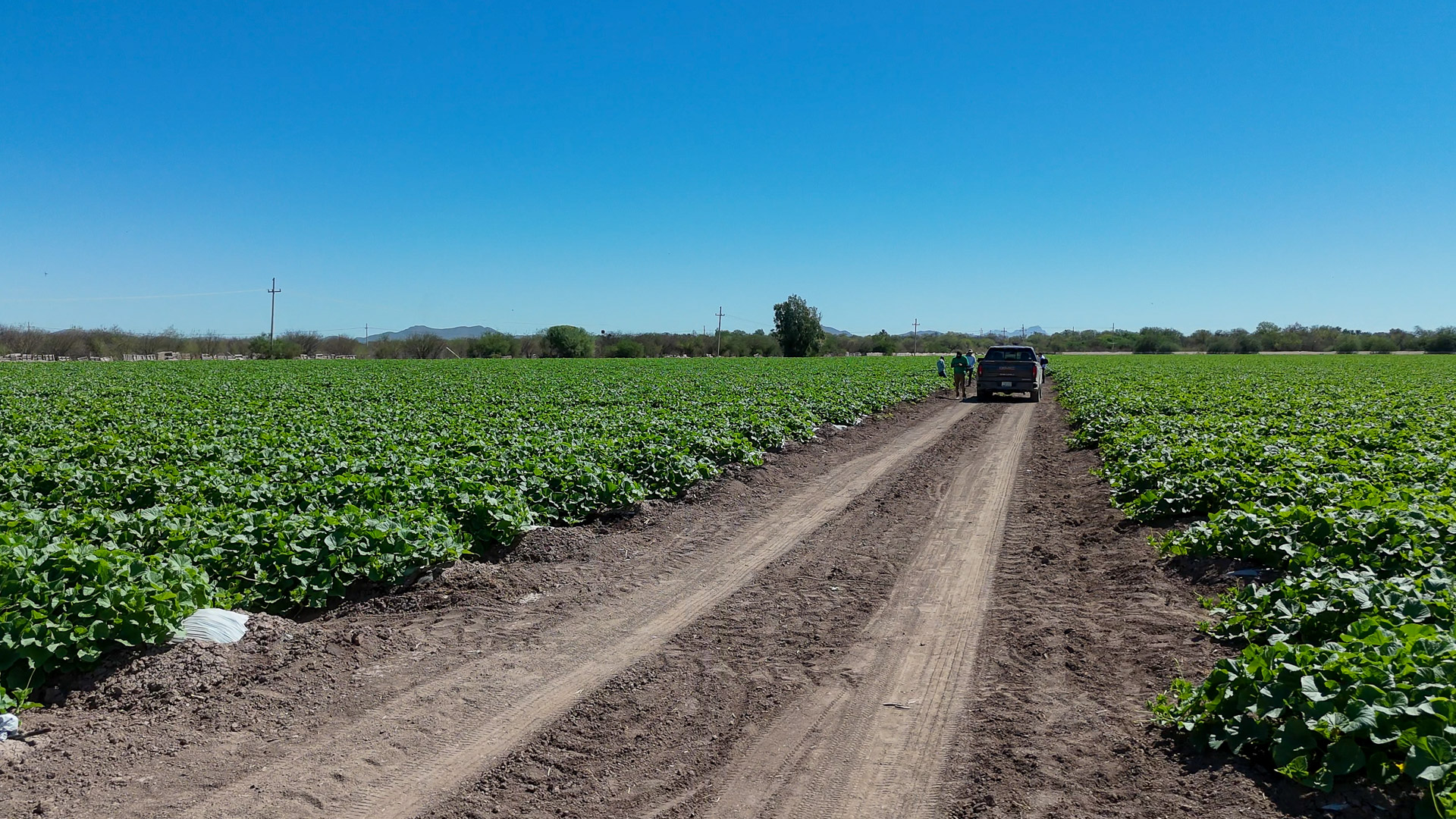 011-20240923124638-MavMiniPro4-Hermisillo (2)-1