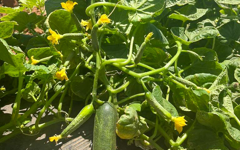 013-20230507175353-TJB