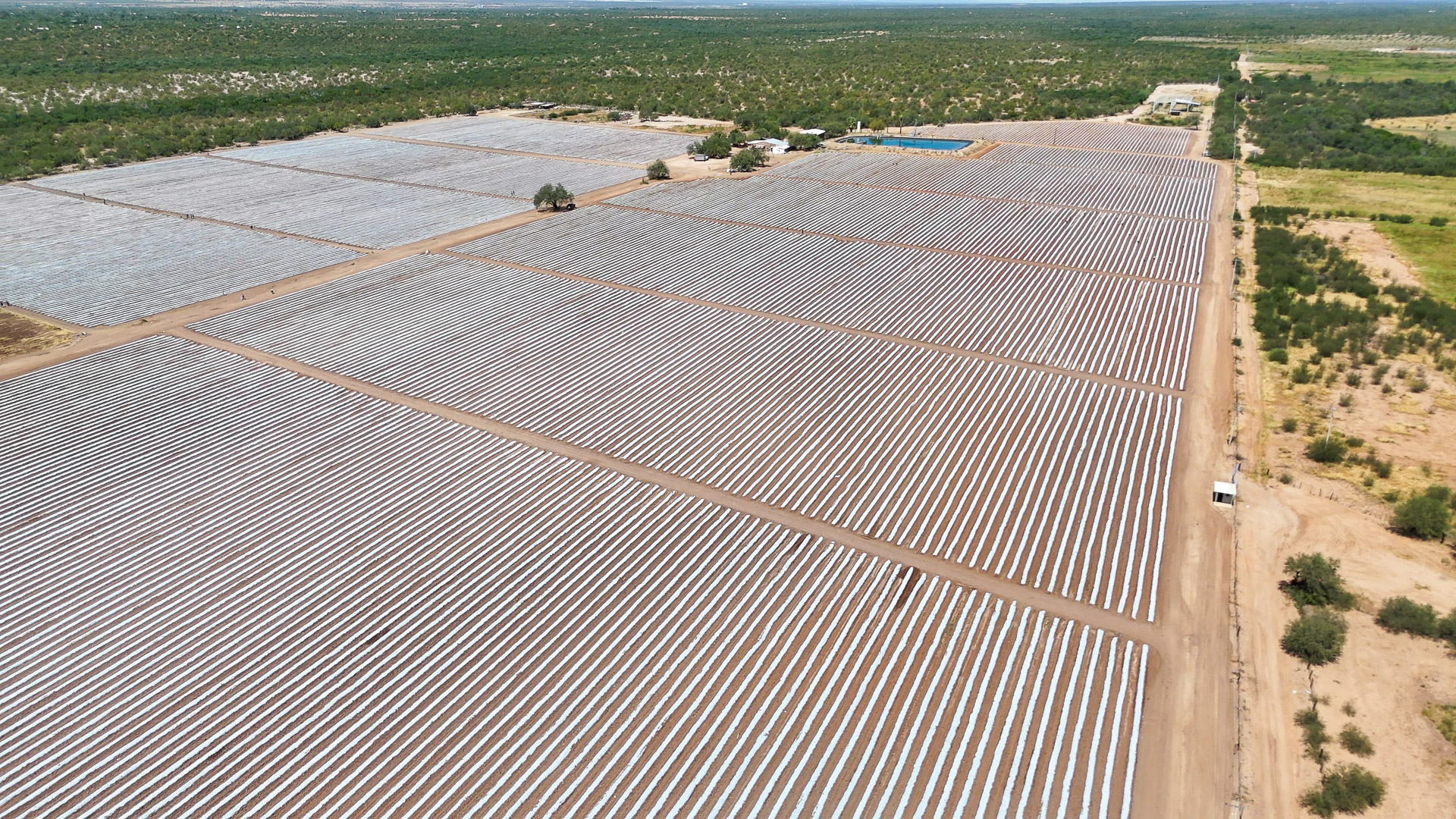 014-20240923135857-MavMiniPro4-Hermisillo Fields (6)-3