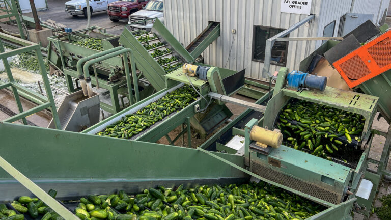 015-20220913183747-JJH-IMG_8118