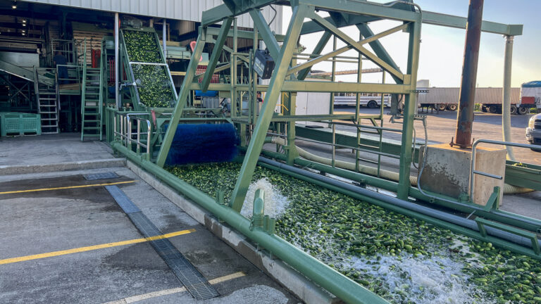 020-20220627200509-JJH-IMG_5883