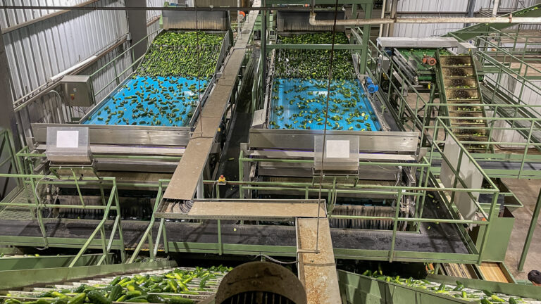 022-20210916223518_JJH_IMG_8892