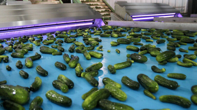 023-20140711164110-T3i-IMG_6678