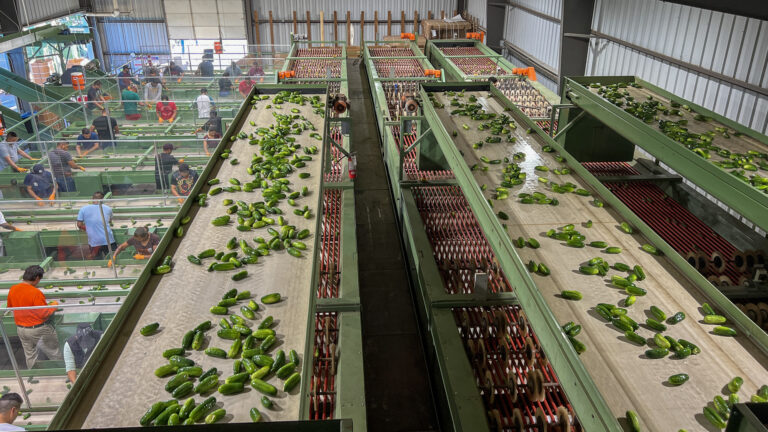 027-20220627200719-JJH-IMG_5890