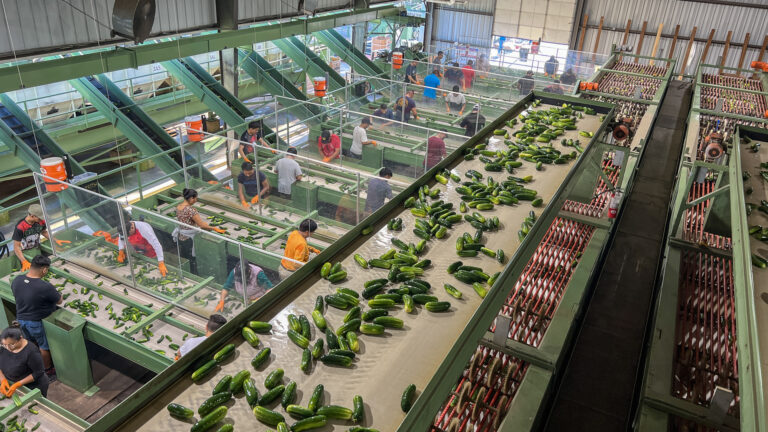 028-20220824183345-JJH-IMG_7760