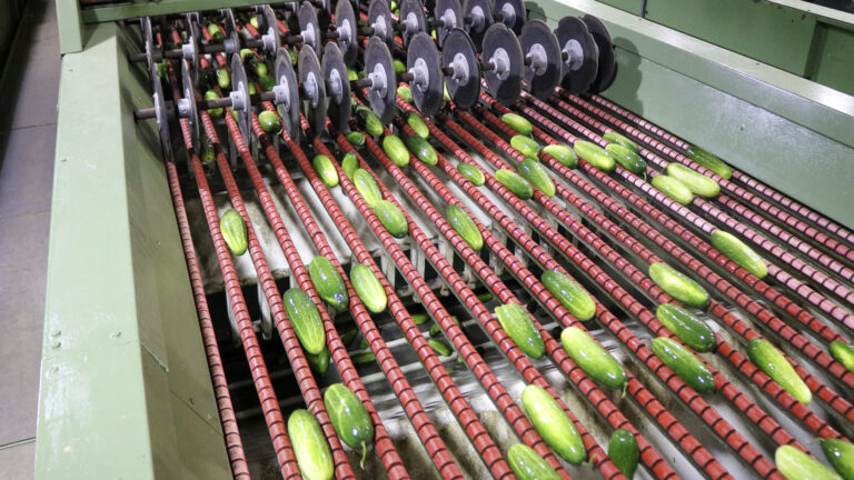 030-20160715172603T6i