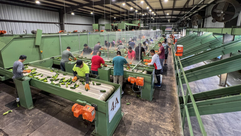 031-20220913184722-JJH-IMG_8148