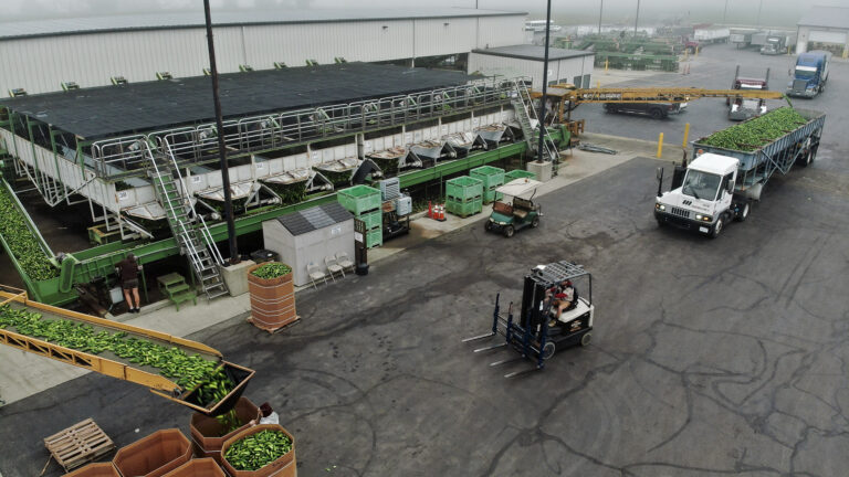 037-20220914063556-H20TDJI_20220914064256_0028_W