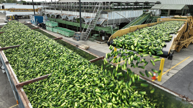 039-20230801183717-Mav3C-DJI_0866