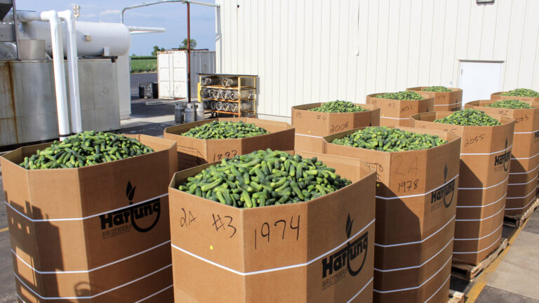 041-20140711170746-T3i-IMG_6739