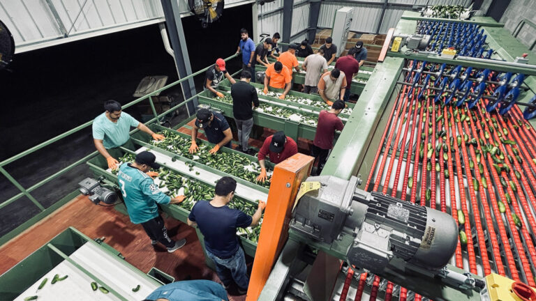 048-20230707233202-ST-IMG_0604