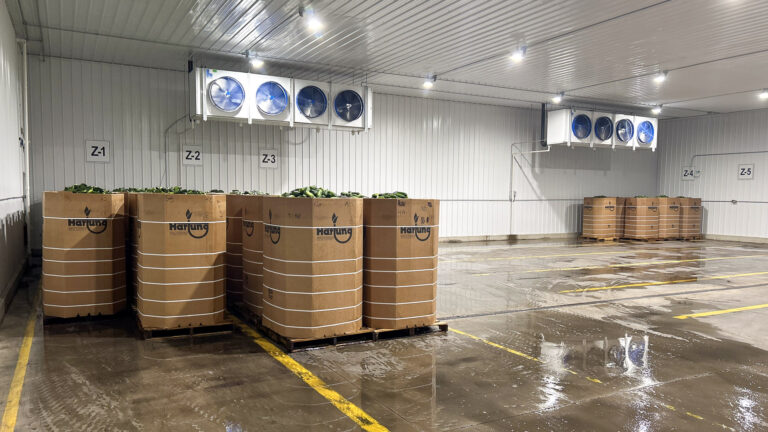 055-20240929184625-MWBG