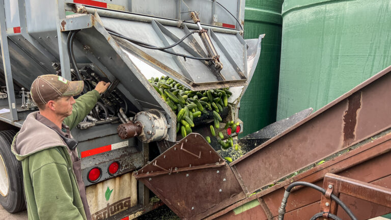 061-20220914080939-JJH-IMG_8225