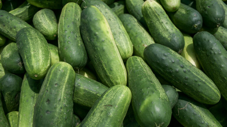 067-20080704122529-XtiRebel-IMG_8555