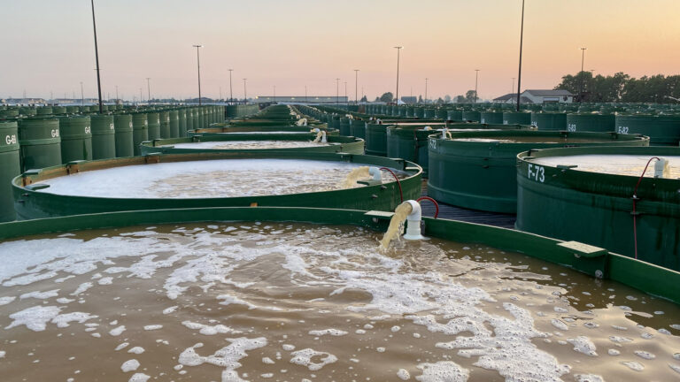 070-20200707062100_JJH_IMG_8124