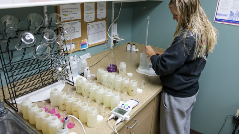 071-20200924073346_T6i_IMG_9836