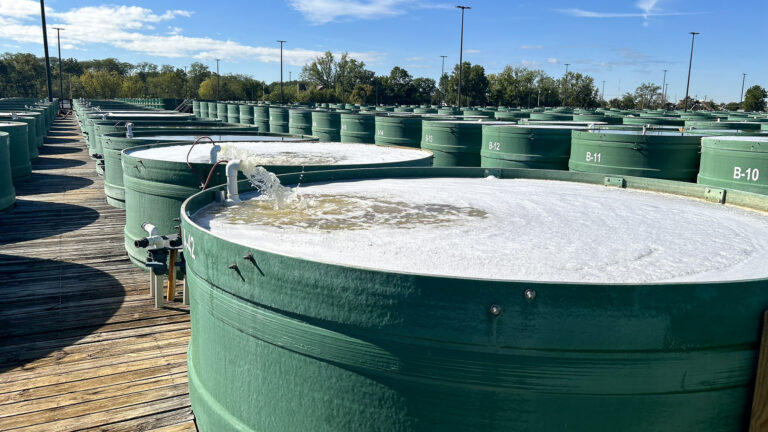 072-20241002110442-MWBG-IMG_0255