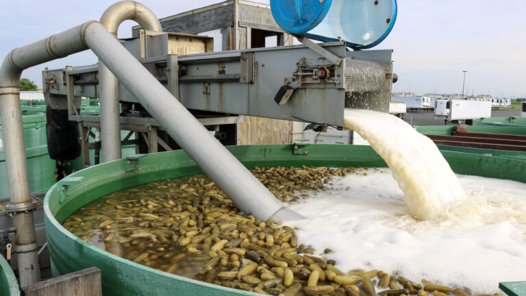 075-20160716072228T6i