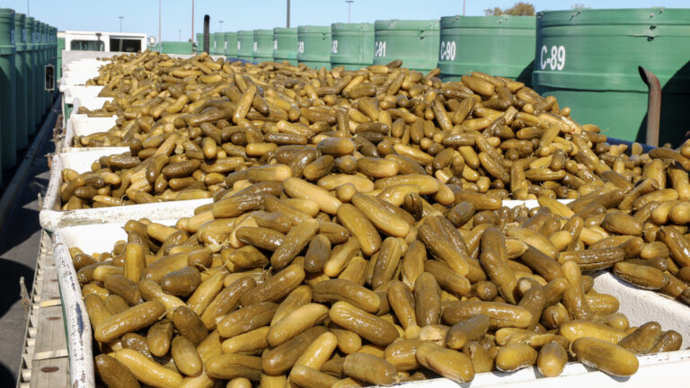 078-20181018130241_T6i_IMG_0578