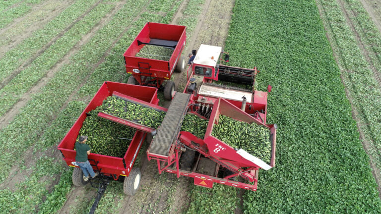 086-20190811094840_DJI4PPv_0198