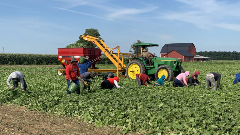 087-20190811174741-RN-IMG_1225