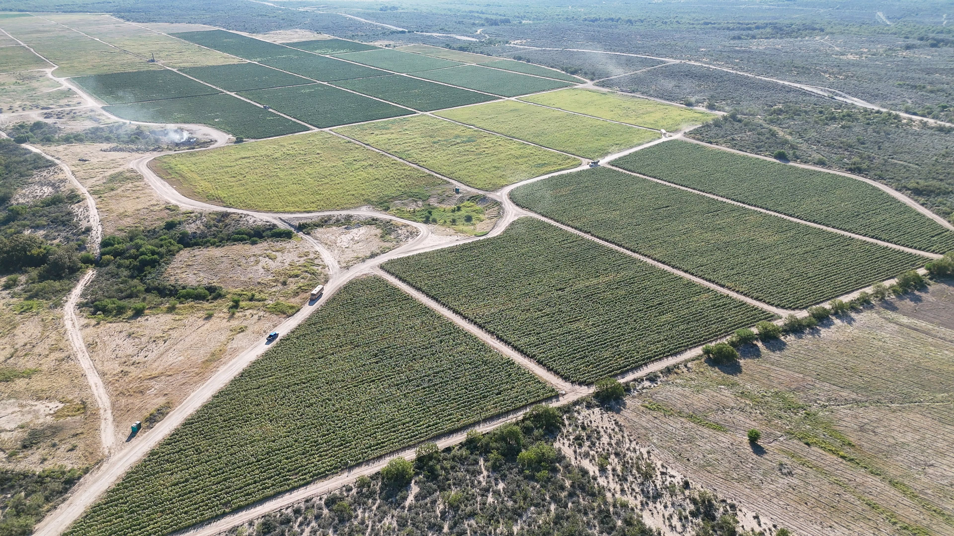 002-20241015094849-MavMiniPro4-Pierdas-Nergras-8-1