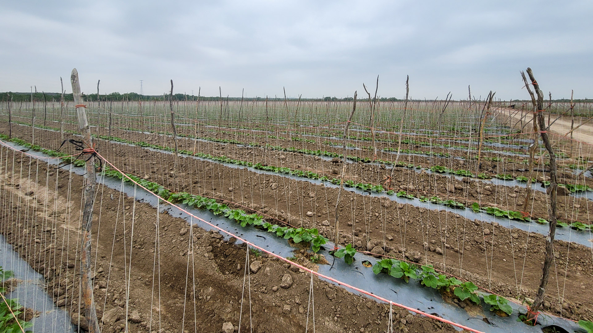 003-20210427105122-TJB-20210427_105122