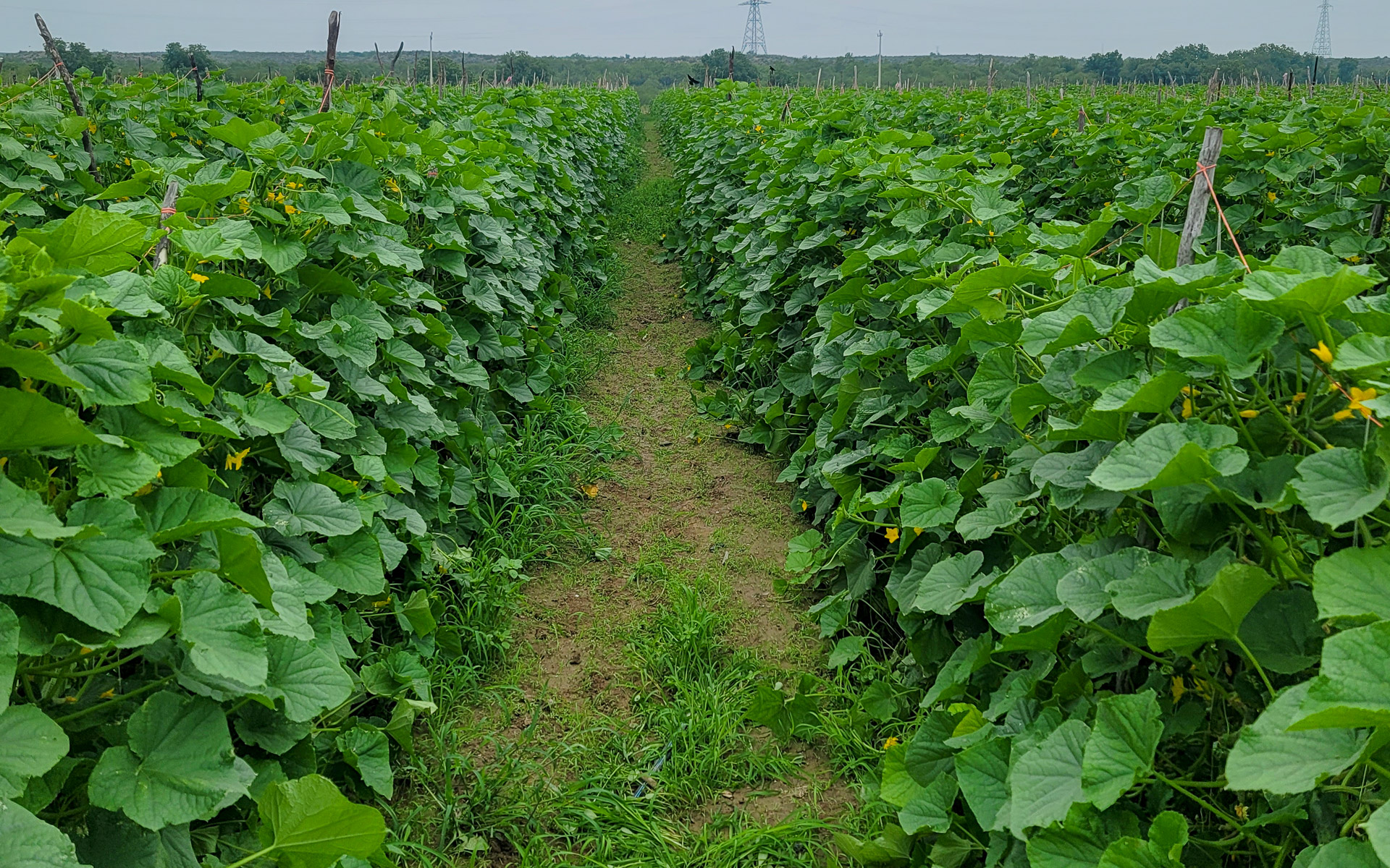 005-20230522104346-TJB-20230522_104346