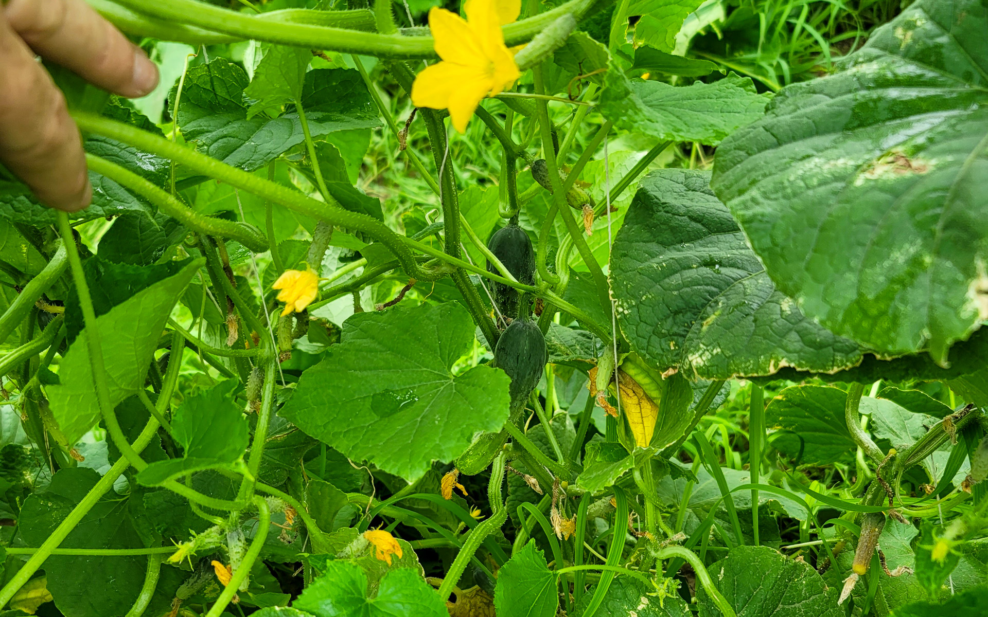 006-20230522104402-TJB-20230522_104402