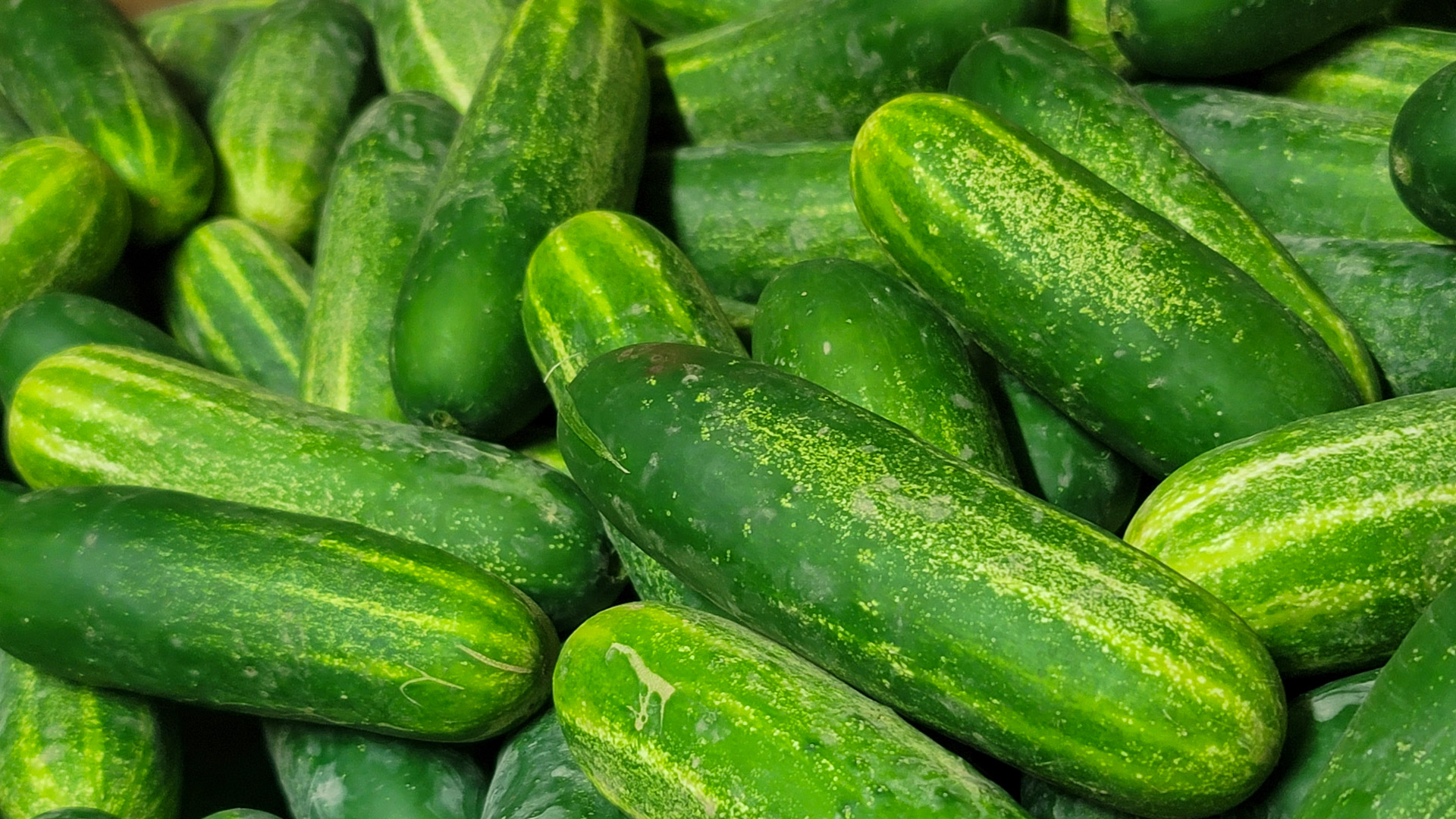 007-20230522123620-TJB-20230522_123620