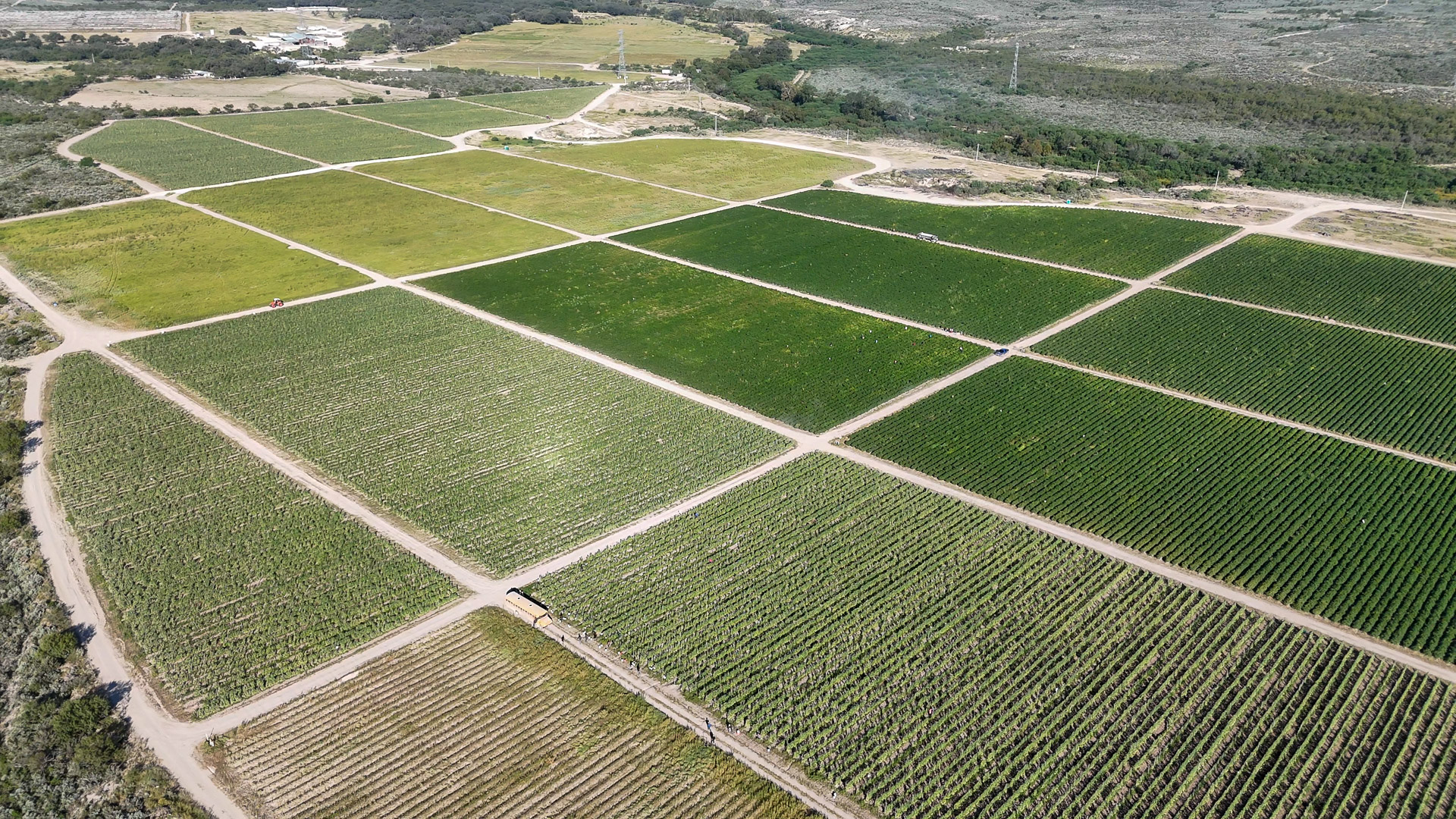 011-20241015095310-MavMiniPro4-Pierdas-Nergras-9-1