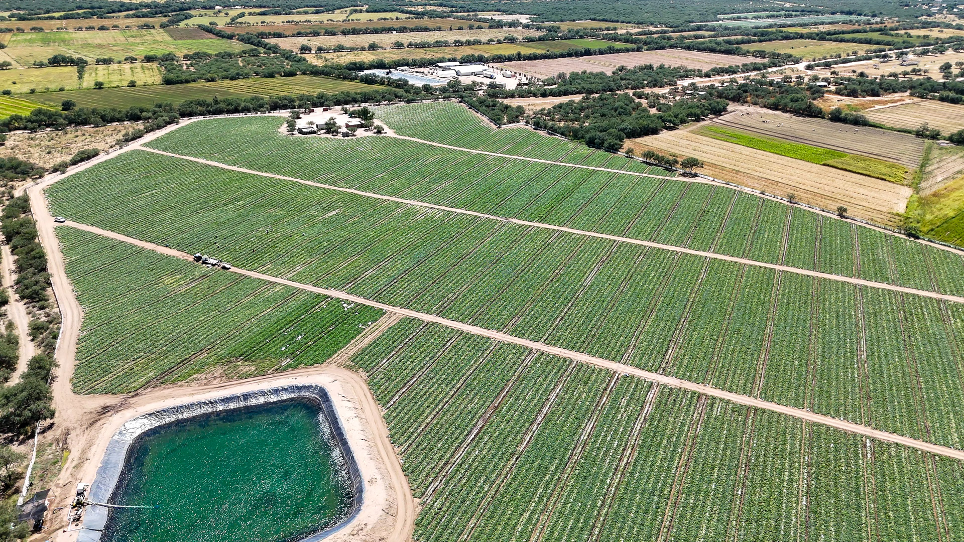 001-20240920140423-MavMiniPro4-Magdalena-Field-by-packing-shed-2