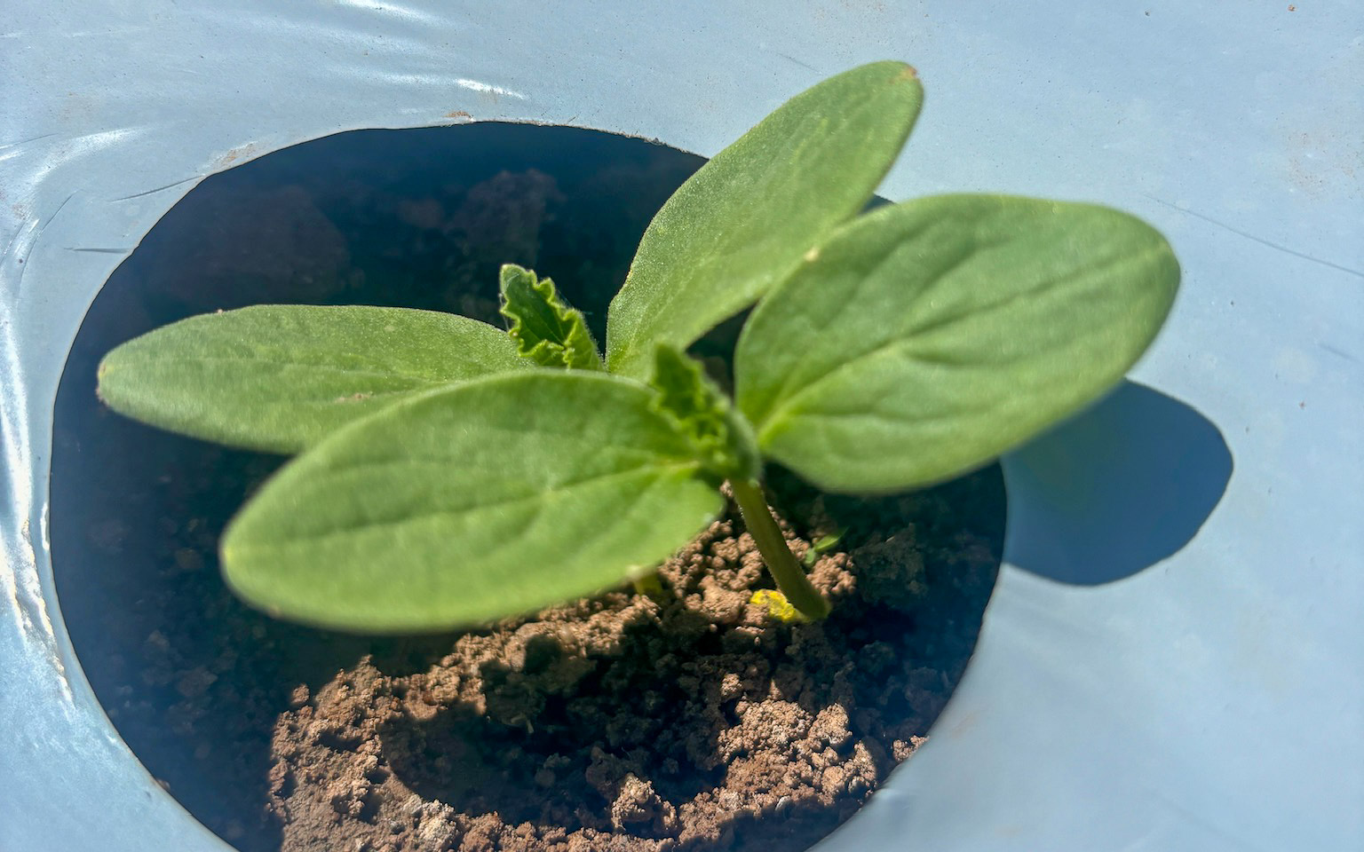 003-20240923120229-MXIzzy-IMG_7405