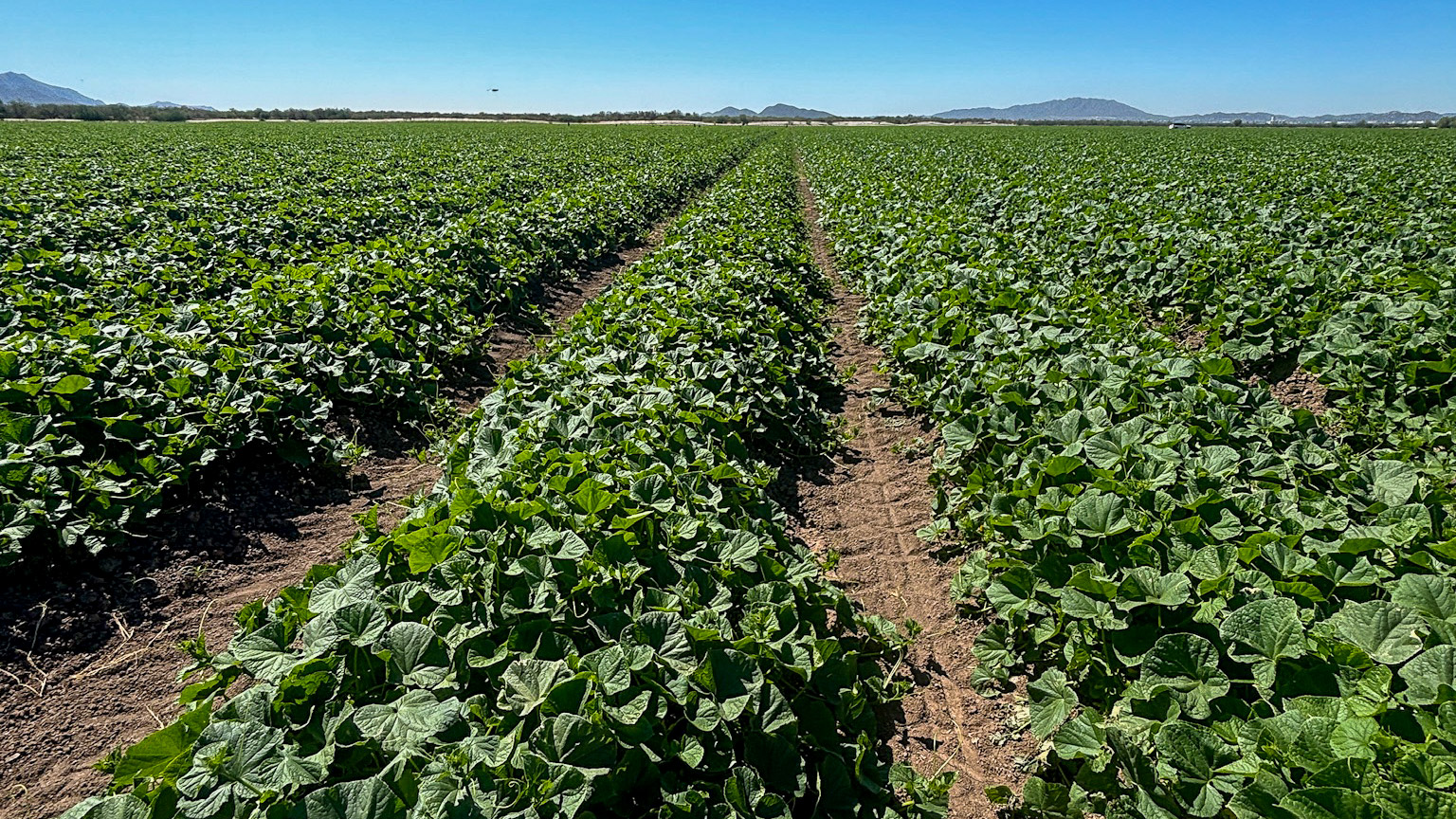 004-20240923104110-MXIzzy-IMG_7347