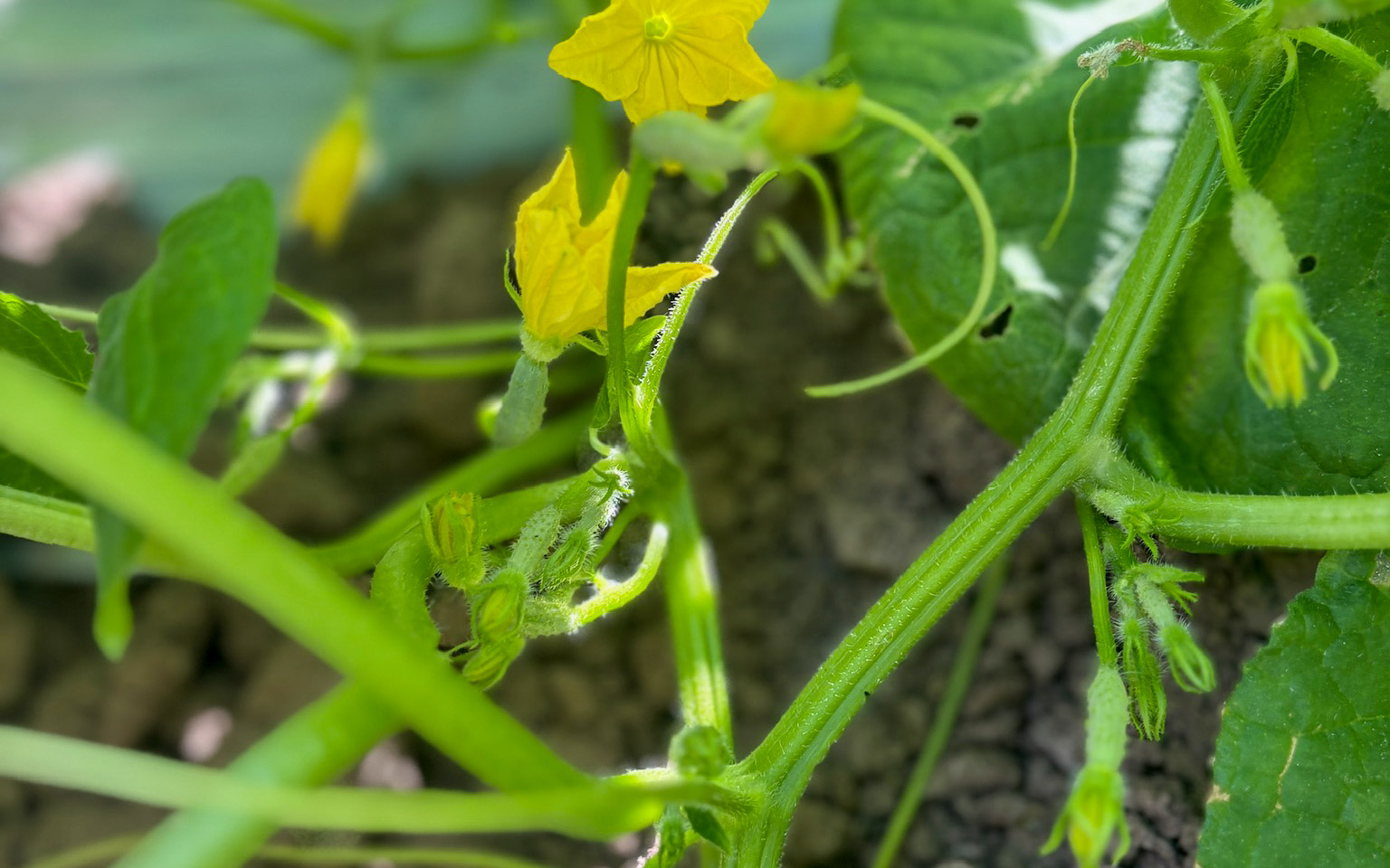 005-20240923104208-MXIzzy-IMG_7355