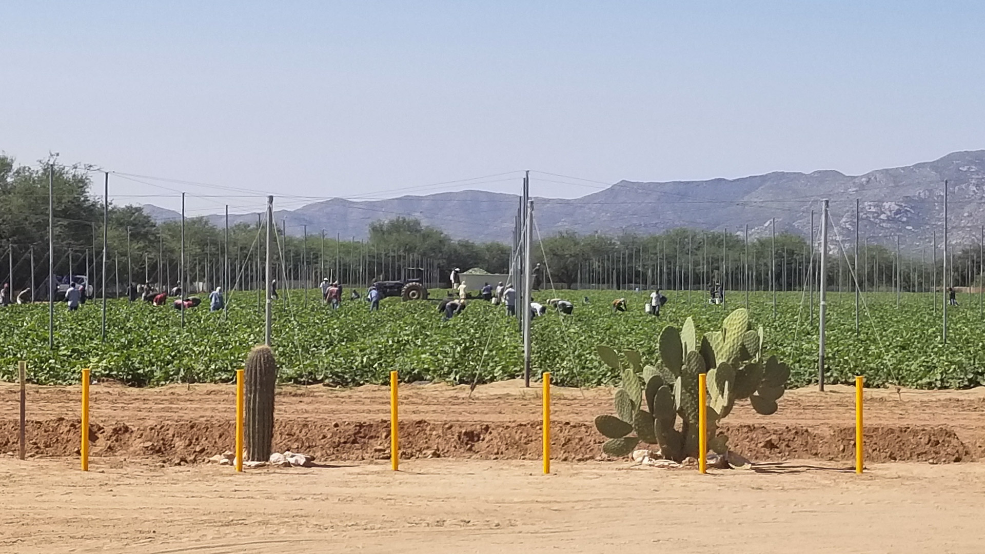 008-20200916103058-TJB-20200916_103058