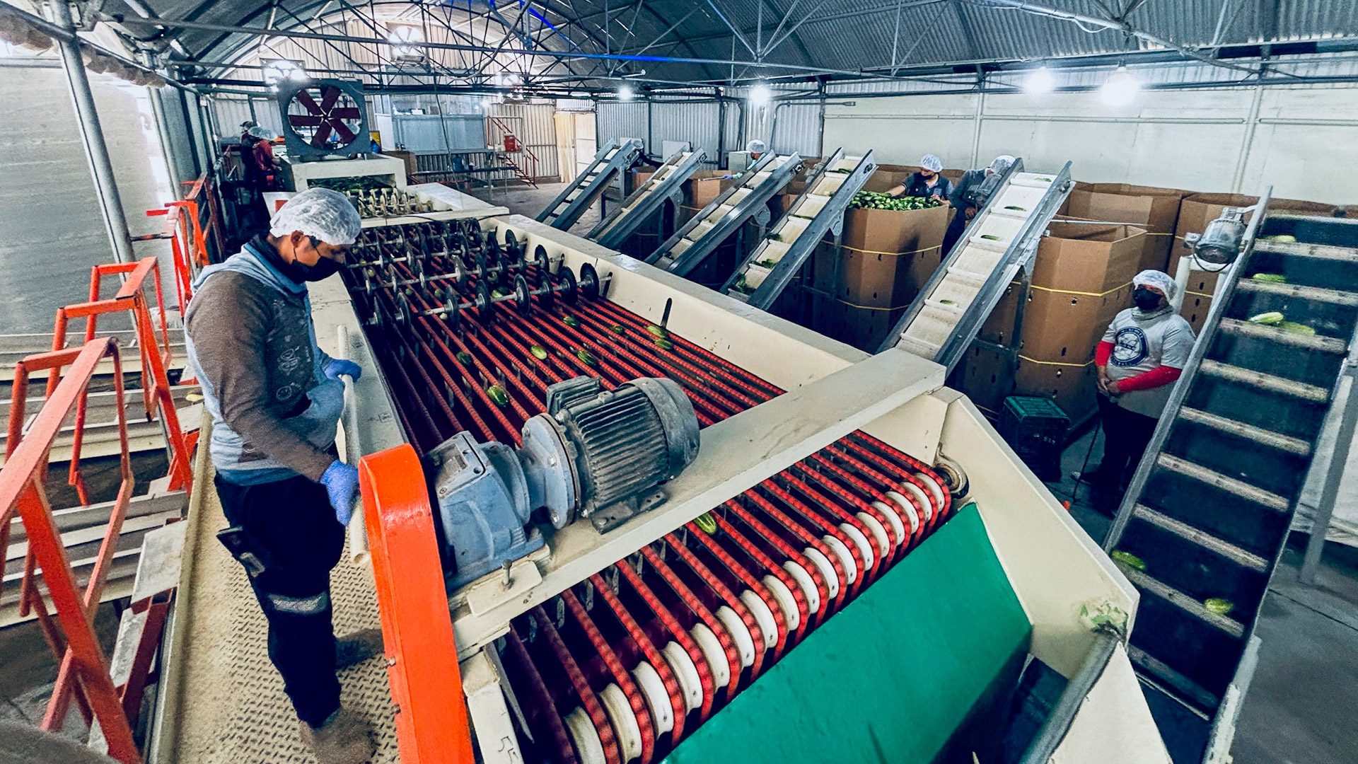 011-20240920114110-MXIzzy-IMG_0649