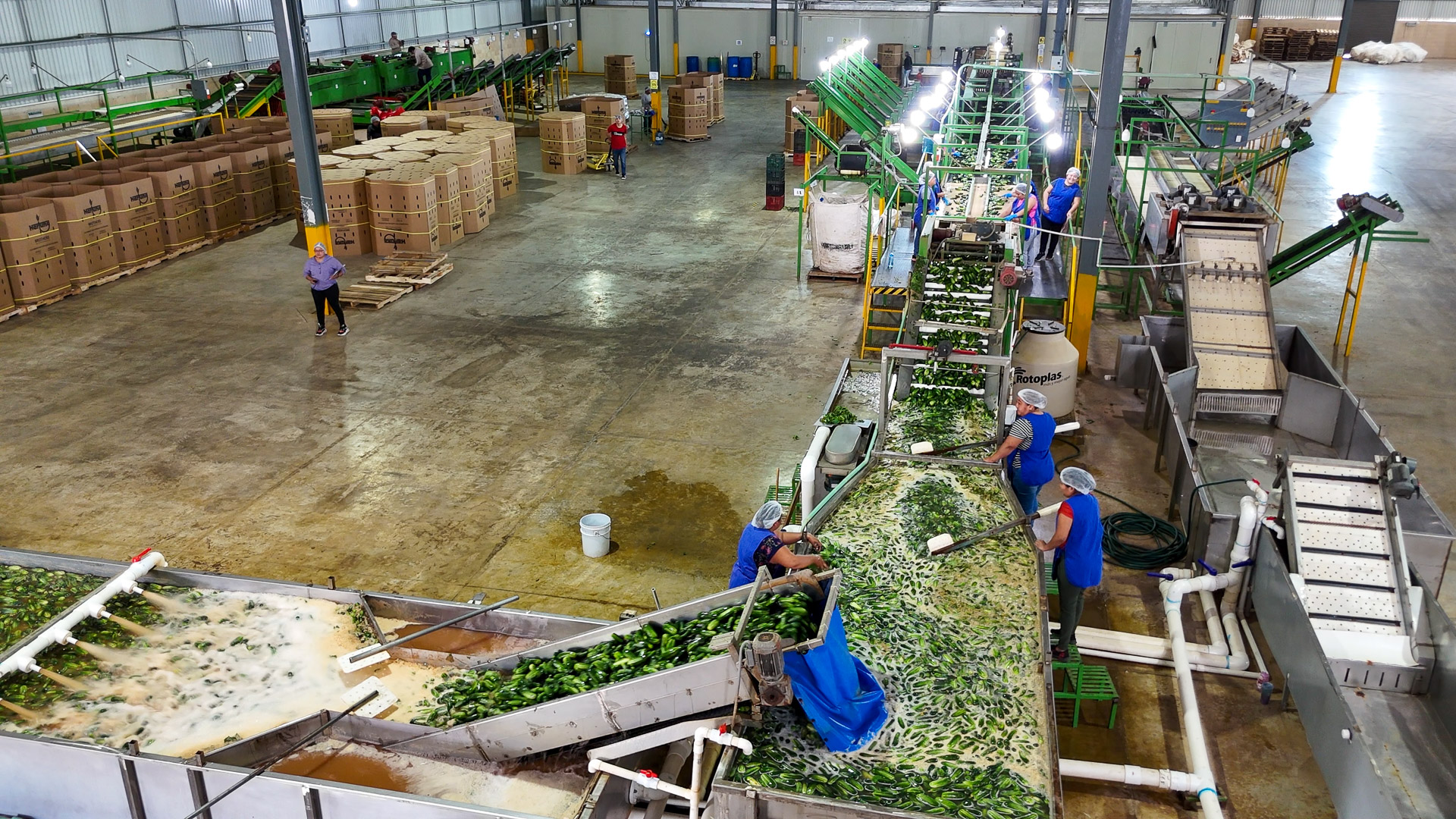 004-20250108122250-MavMiniPro4-DJI_20250108122250_0073_D-1